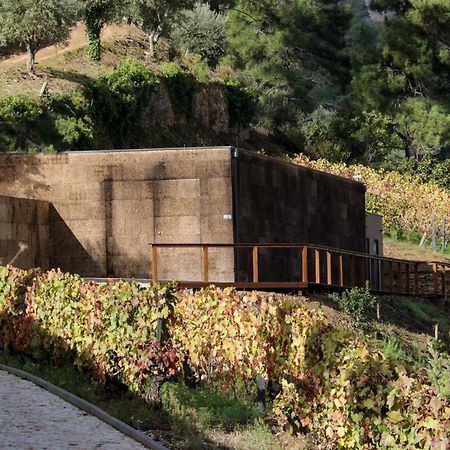 핀하오 Dois Lagares House B&B 외부 사진