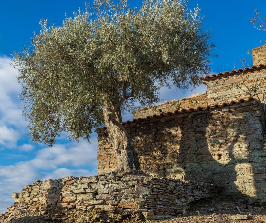 핀하오 Dois Lagares House B&B 외부 사진