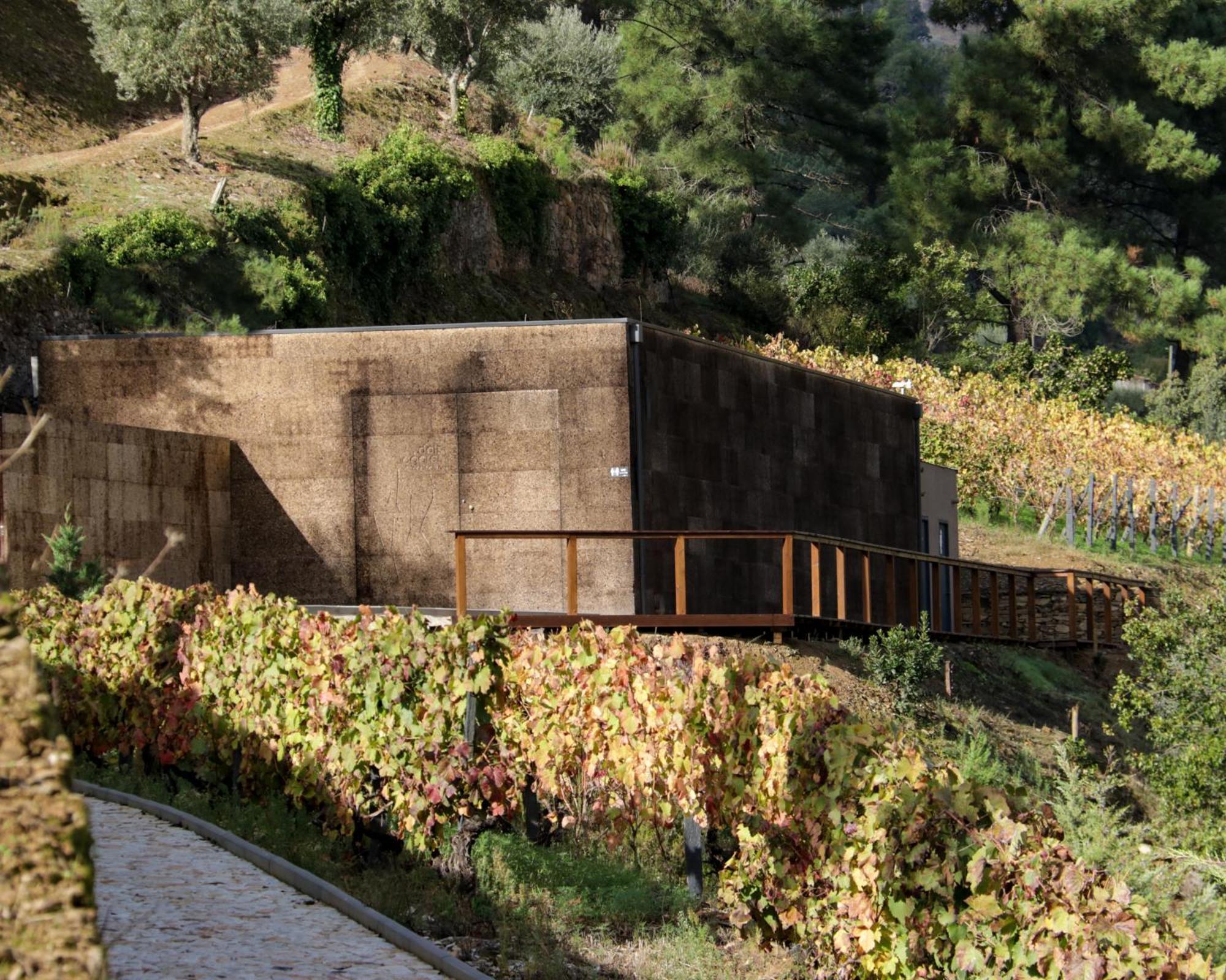 핀하오 Dois Lagares House B&B 외부 사진